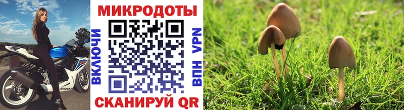 Галлюциногенные грибы Cubensis Оханск